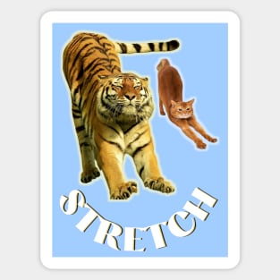 Stretch exercise by a tiger and a cat - white text Sticker